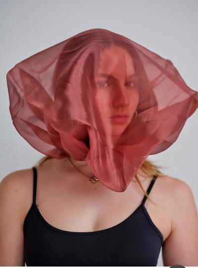 Sheer Organza FaceOn Hood